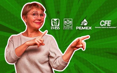 Instituciones gubernamentales a las que dimex está afiliada