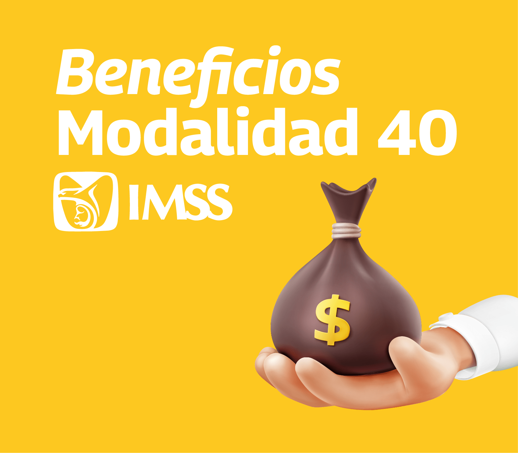 modalidad 40 imss