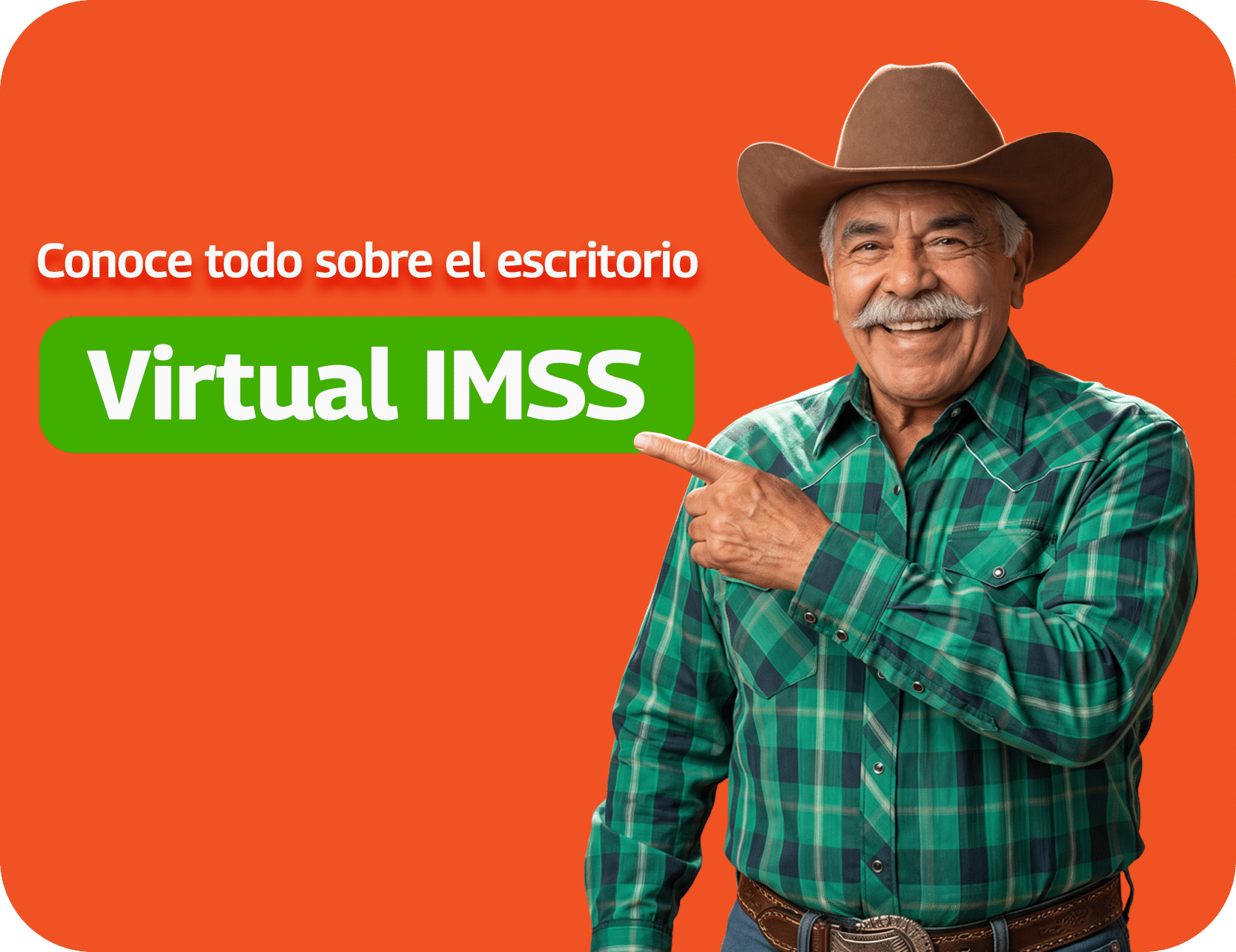 Escritorio virtual IMSS Escritorio virtual IMSS