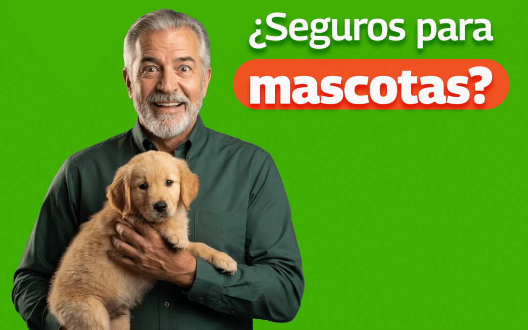 Seguros para mascotas: cómo protegerlos cuidando tu bolsillo
