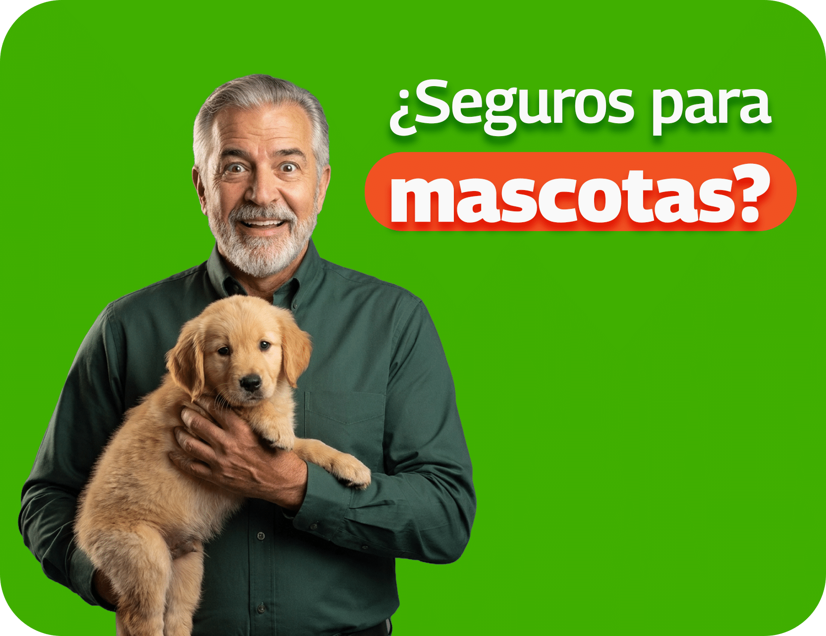 seguro de mascotas Seguros para mascotas